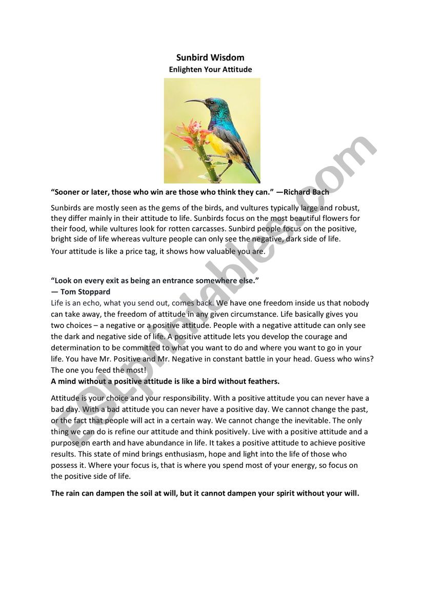 Sunbird Wisdom: Enlighten Your Attitude