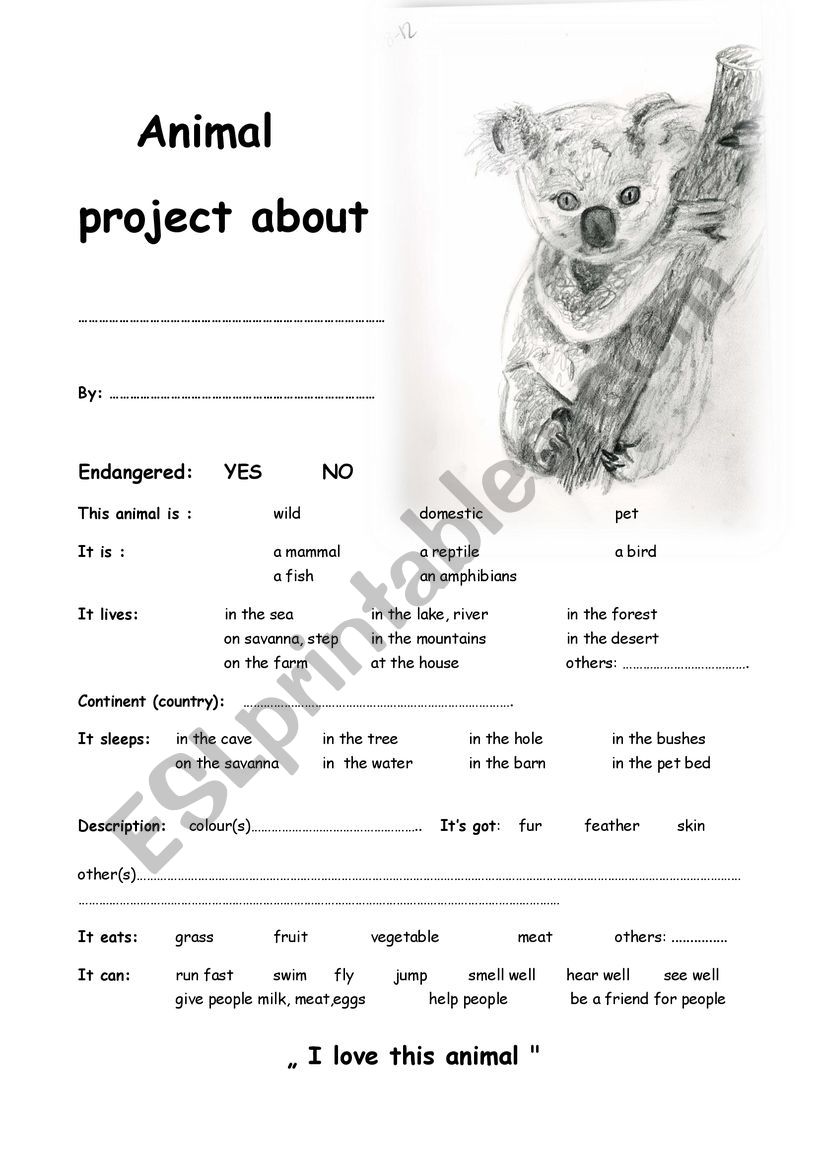 Koala project worksheet