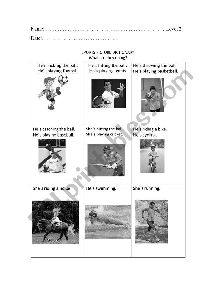 SPORTS PICTURE DICTIONARY worksheet