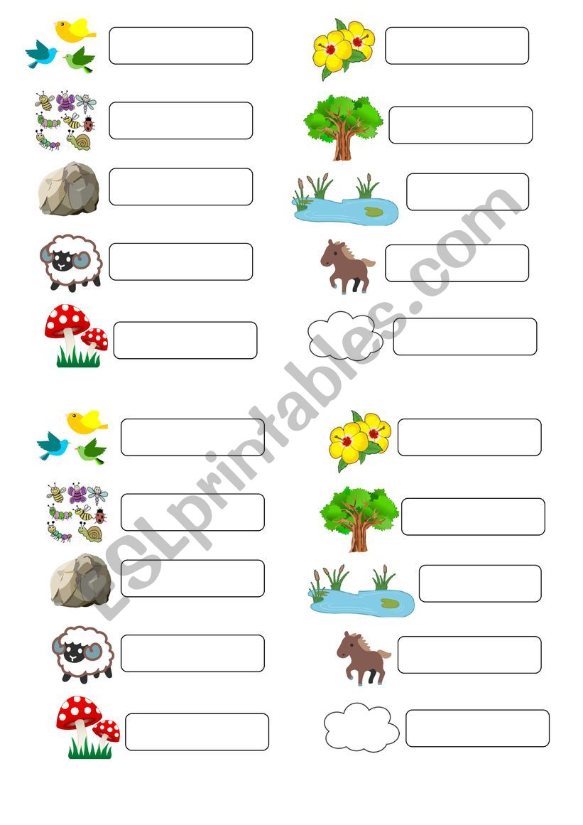 nature vocabulary worksheet