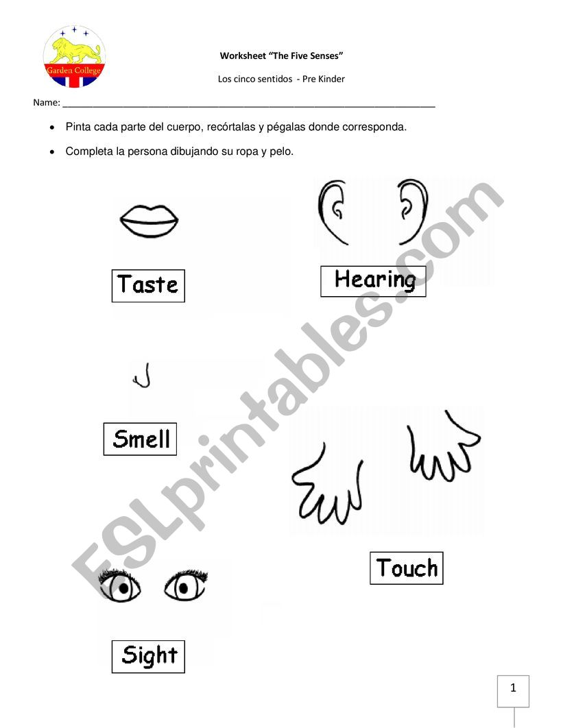 The Five Senses worksheet