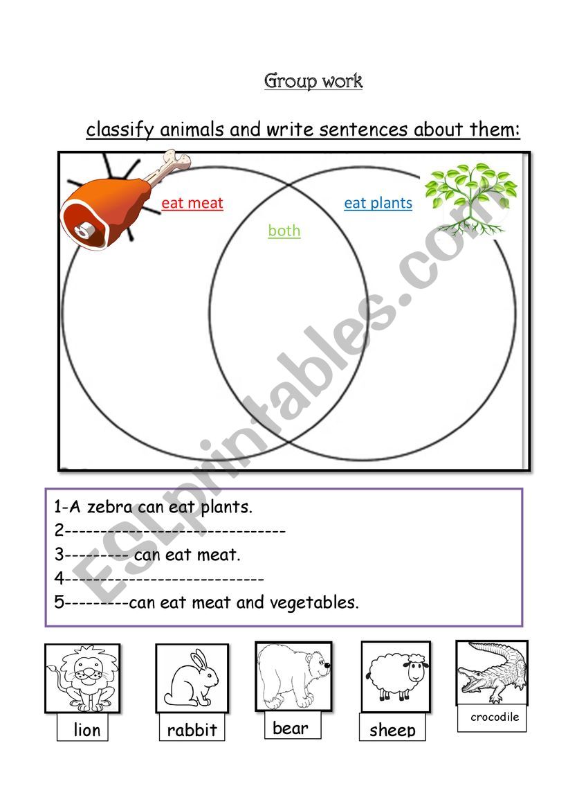 animals worksheet