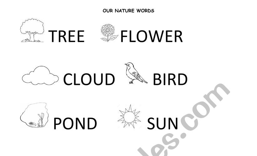 nature vocabulary worksheet