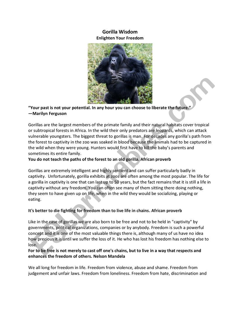 Gorilla Wisdom: Enlighten Your Freedom