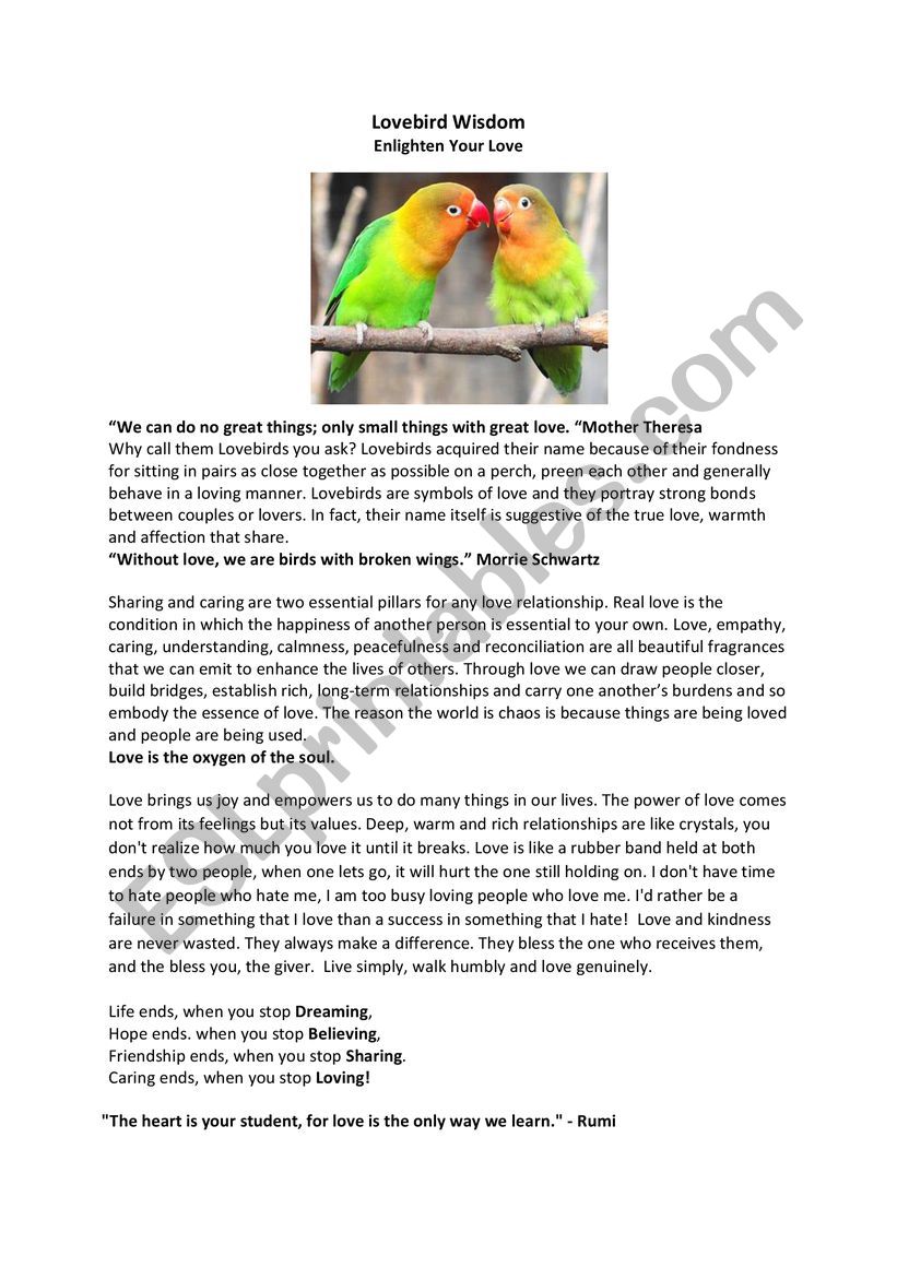 Lovebird Wisdom: Enlighten Your Love