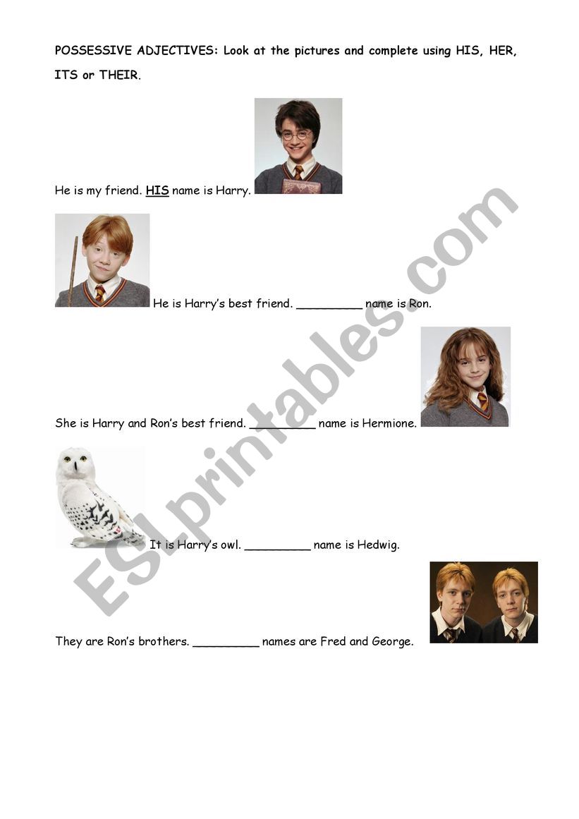 Possessive Adjectives - Harry Potter