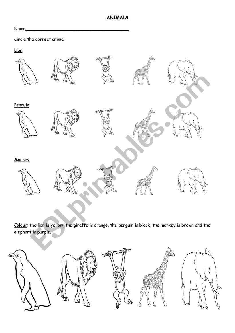 Animals worksheet