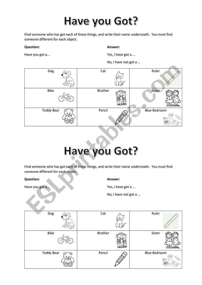 Have you Got  worksheet