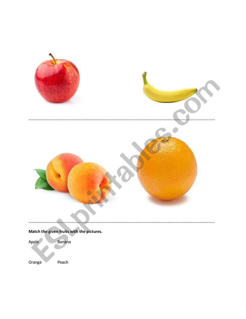 fruits/match activity worksheet