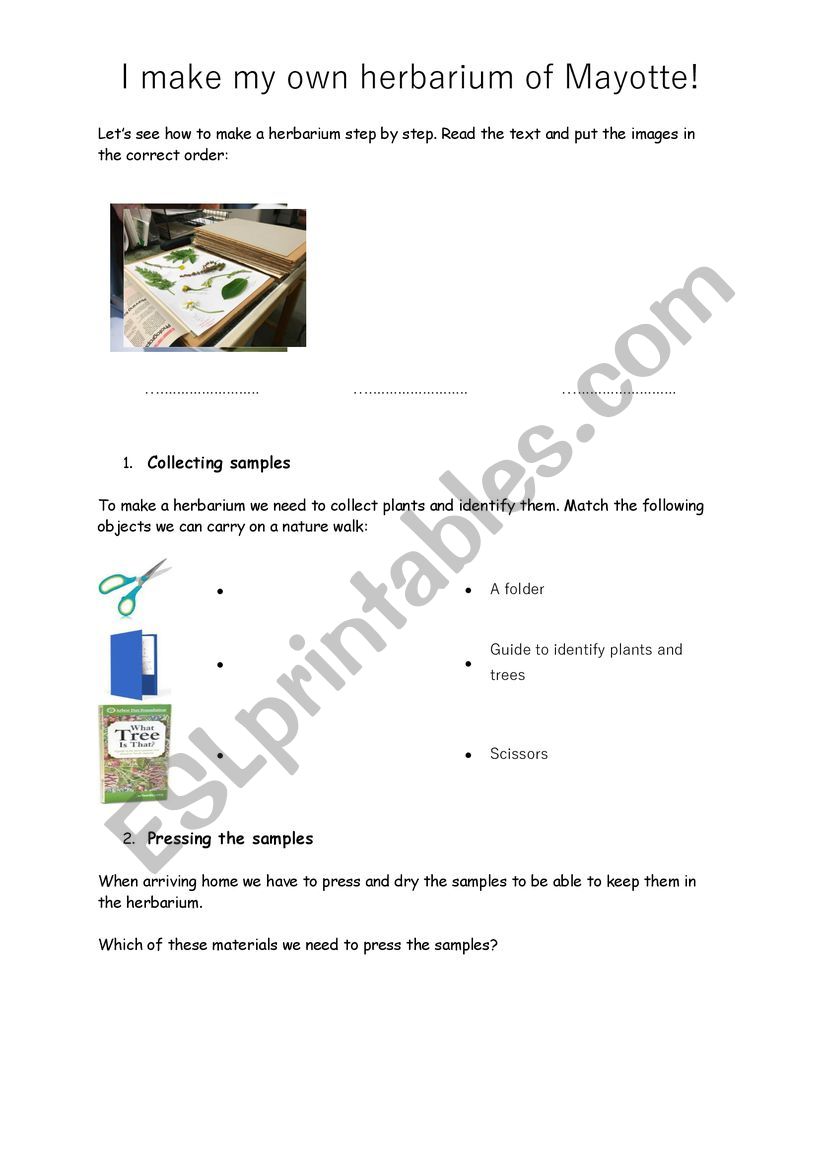 I make my own herbarium worksheet