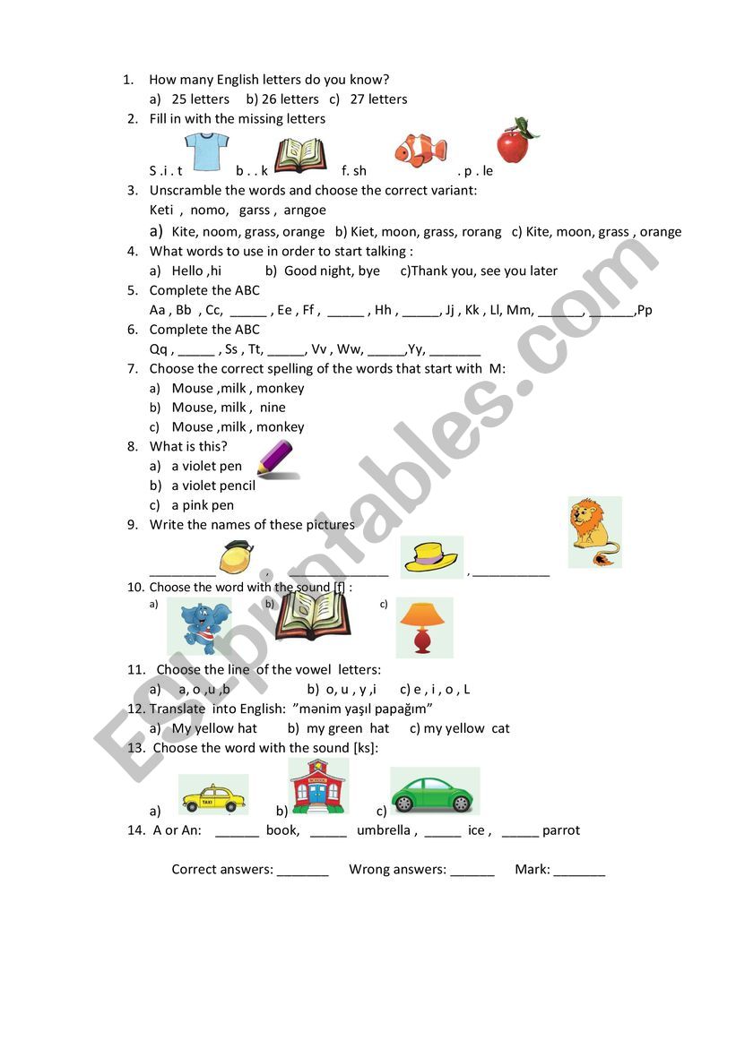 grammar worksheet worksheet