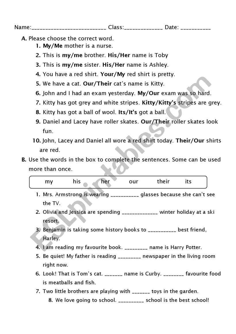 Possesive Adjective Practice worksheet