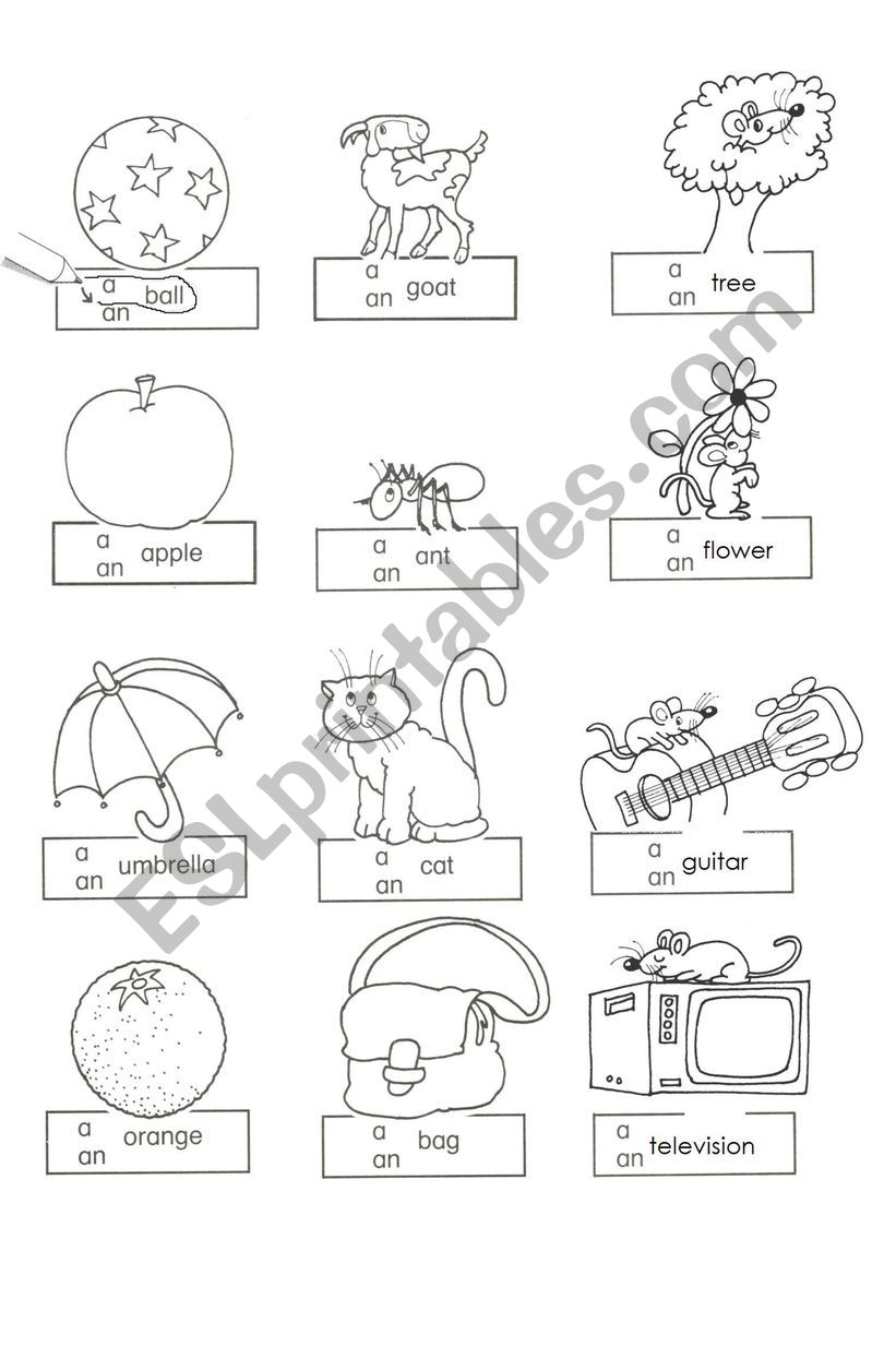 a/an articles worksheet