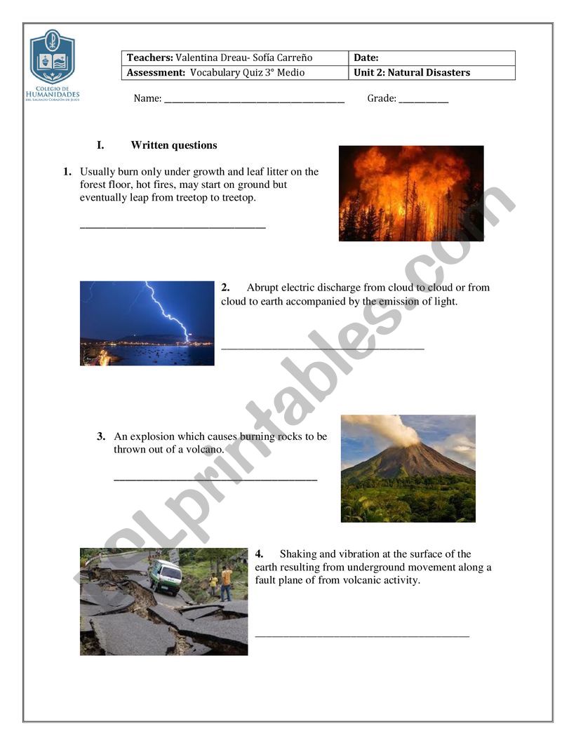 Natural Disasters Quiz worksheet