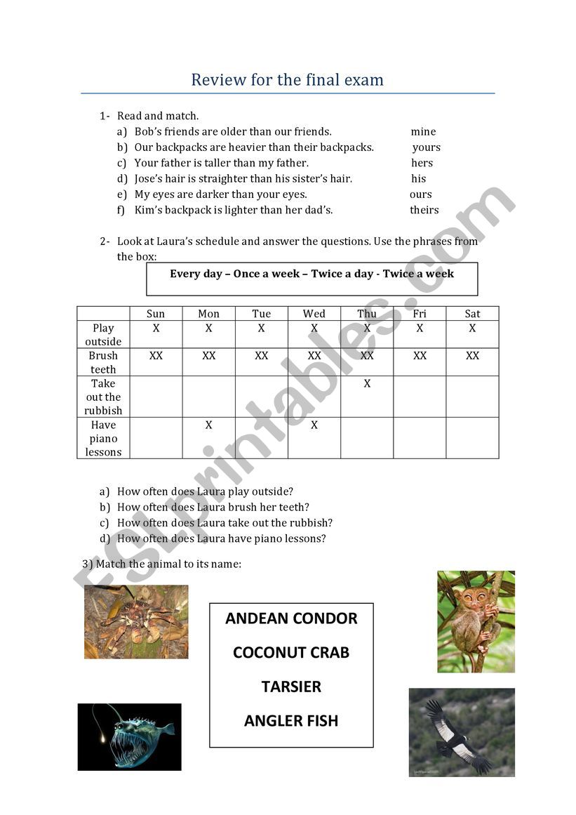 Big English 5 Review worksheet