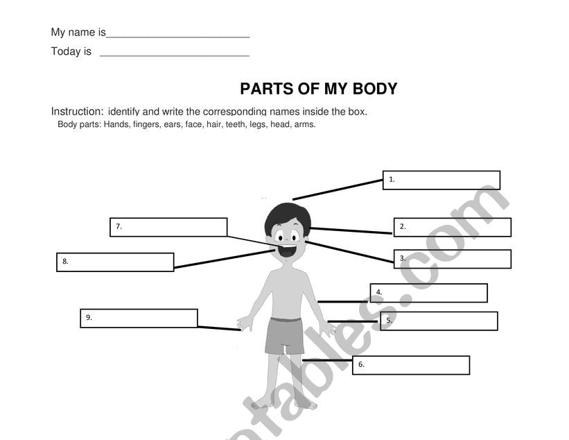 Parts of my Body worksheet