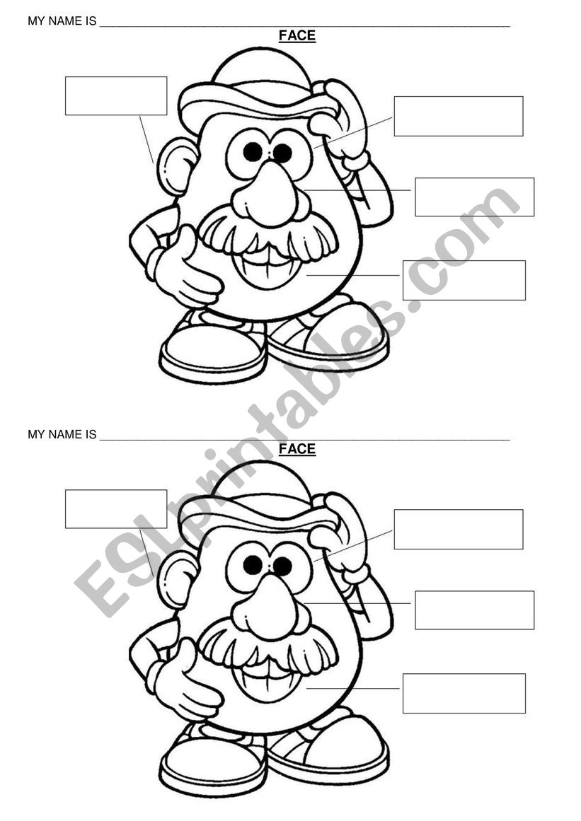 Parts of the face worksheet