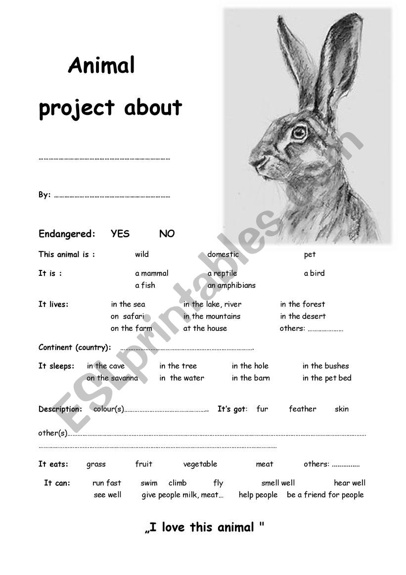 Hare project worksheet