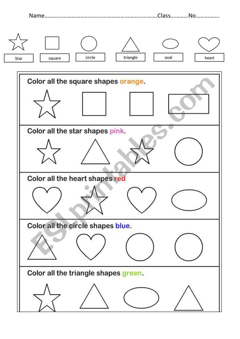 shape  worksheet