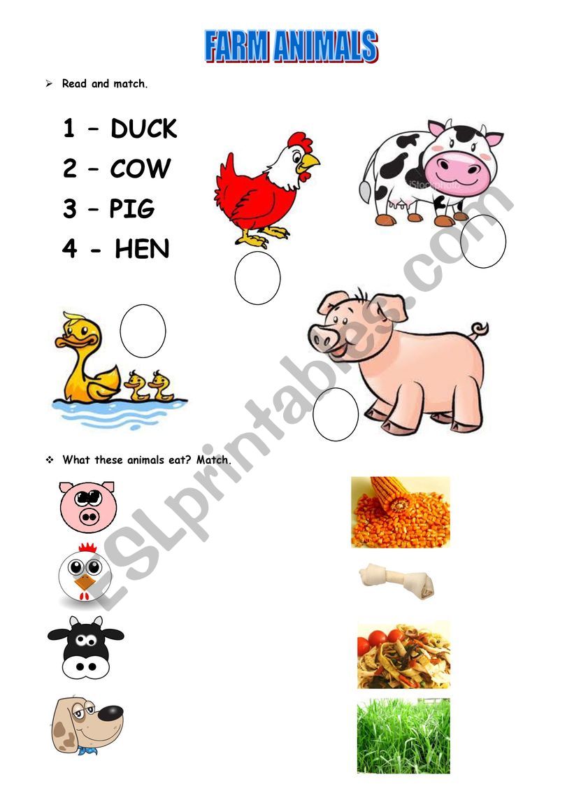 Farm animal  worksheet