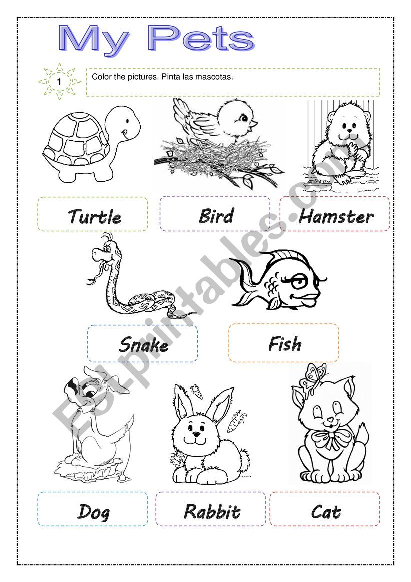 pets worksheet