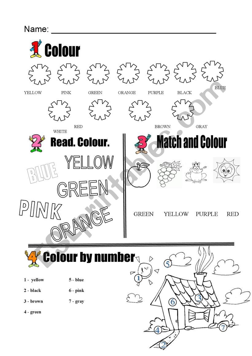 Colours Review worksheet