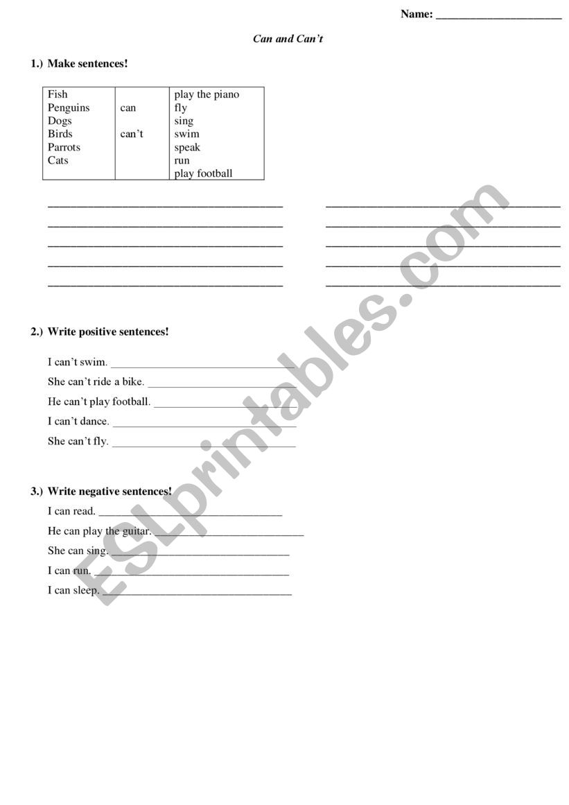 Can and Cant worksheet worksheet