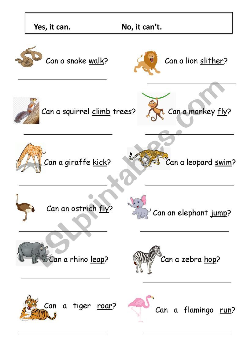 Zoo Theme: Can and Can´t - ESL worksheet by eigofunhouse