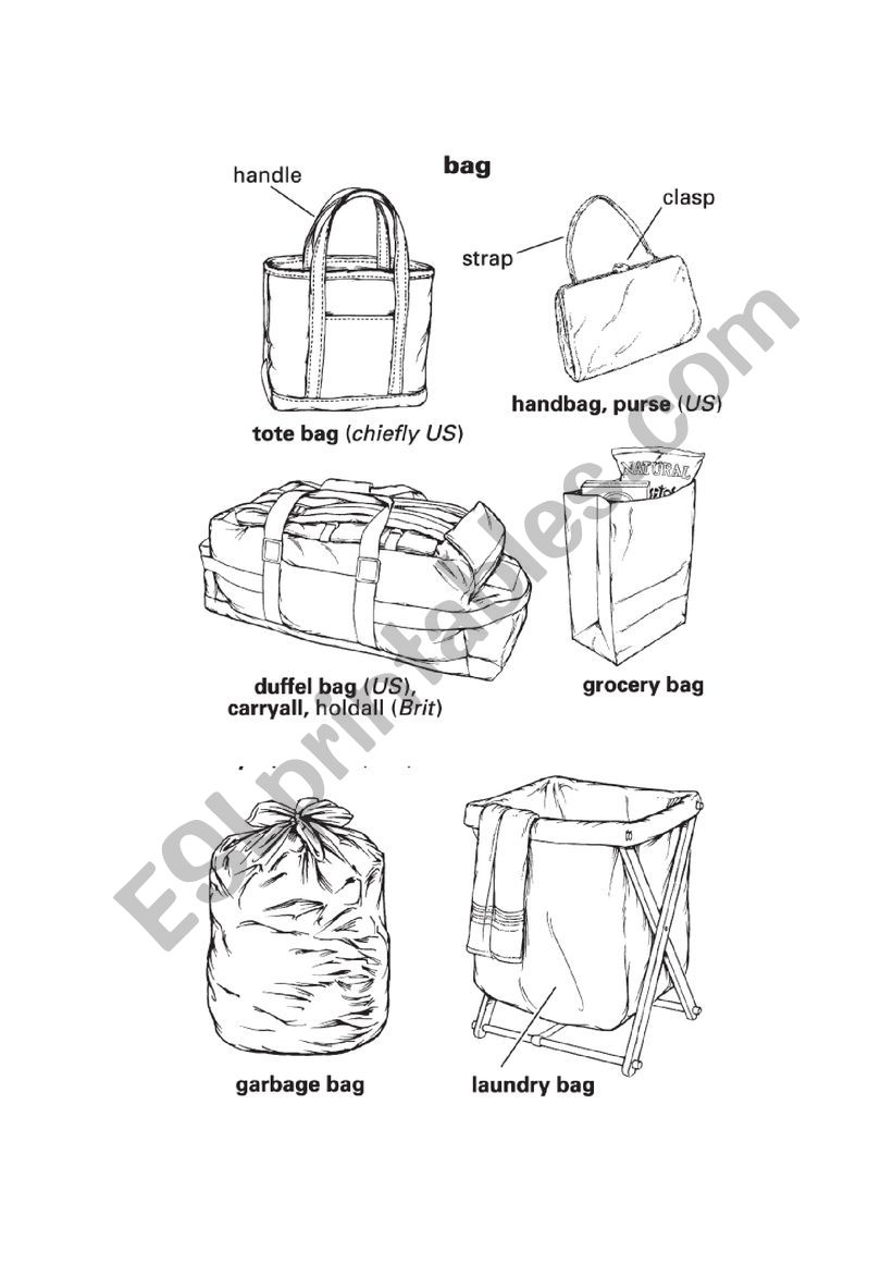 Bags worksheet