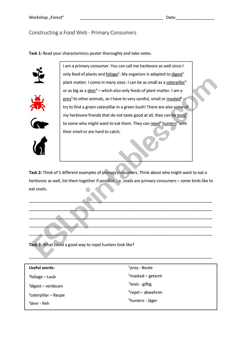 Primary Consumers Ecology worksheet