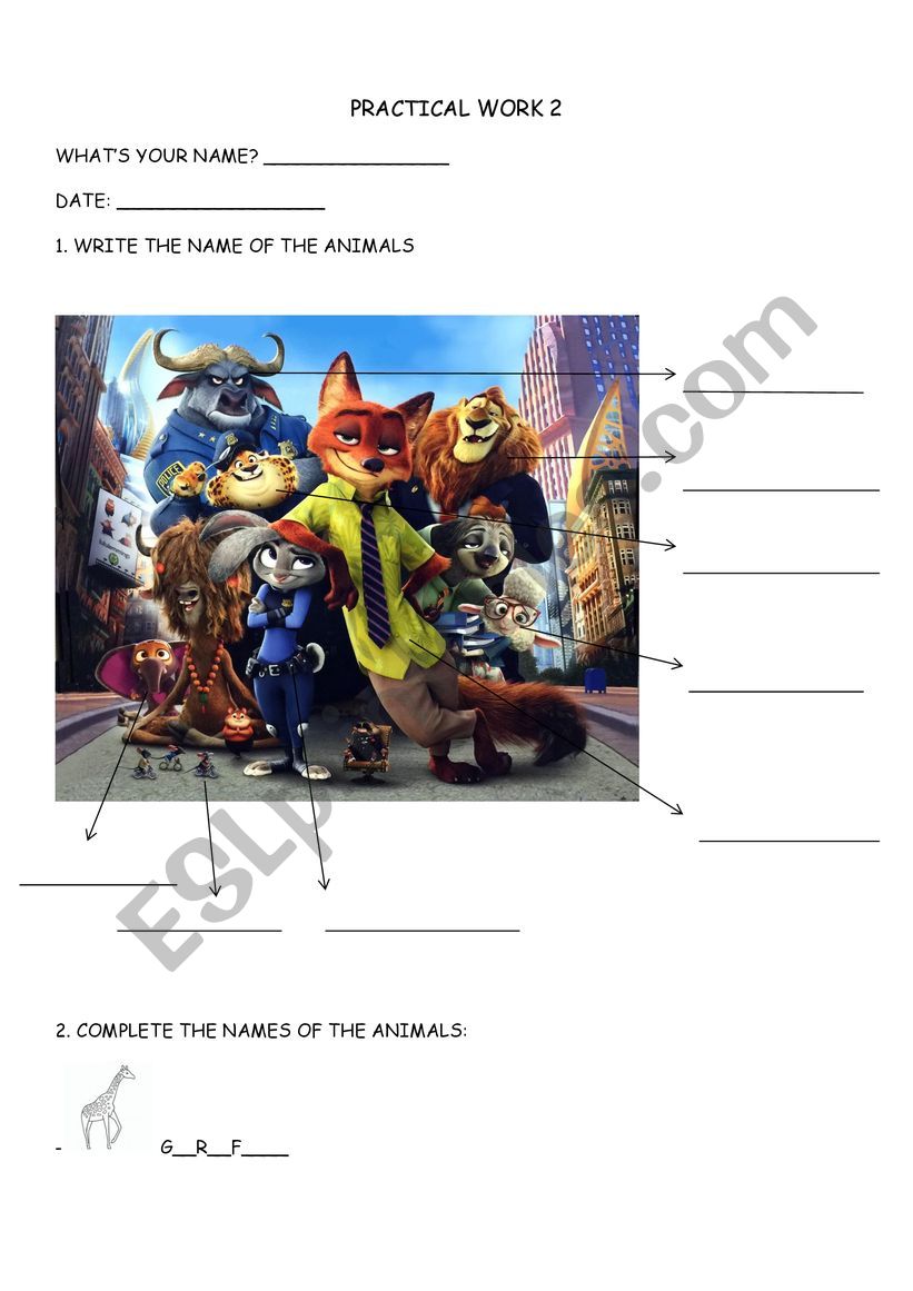 Practical Work for animals worksheet