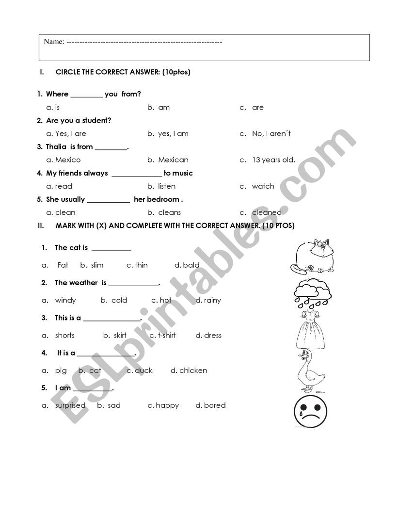 evaluation  worksheet