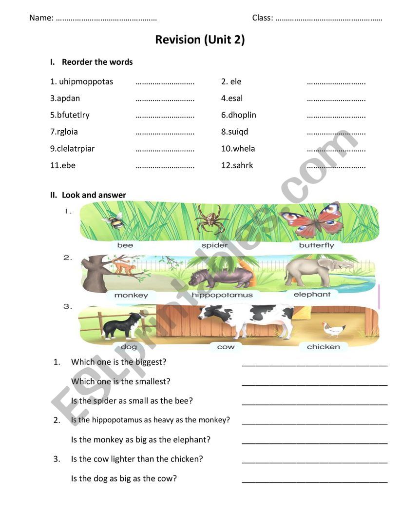 Animals worksheet