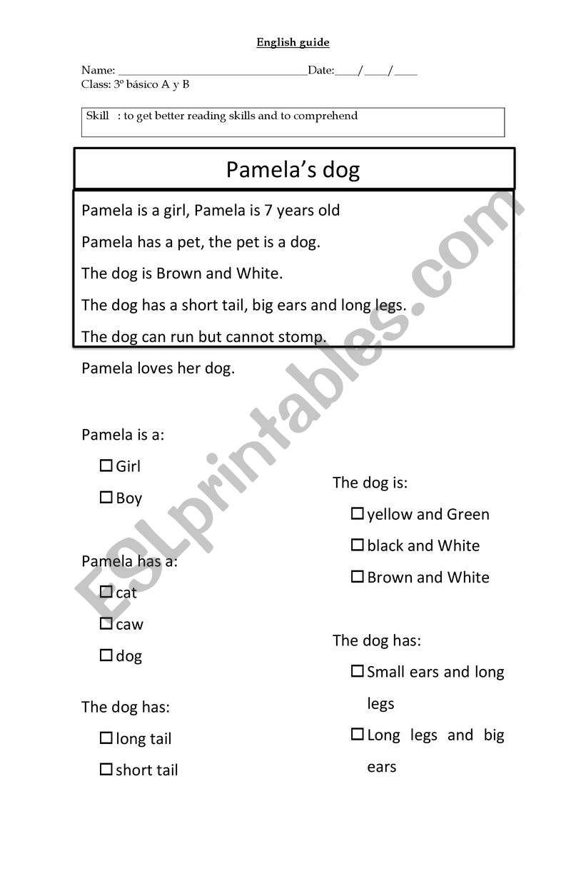 reading comprehension worksheet