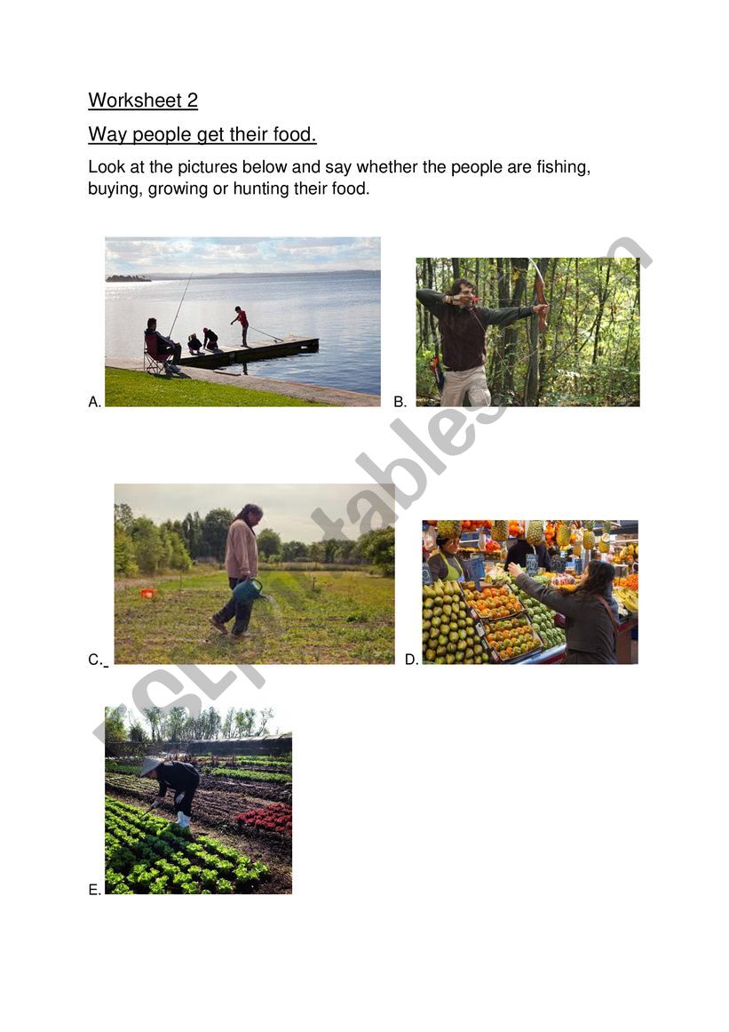 Ways of Farming  worksheet