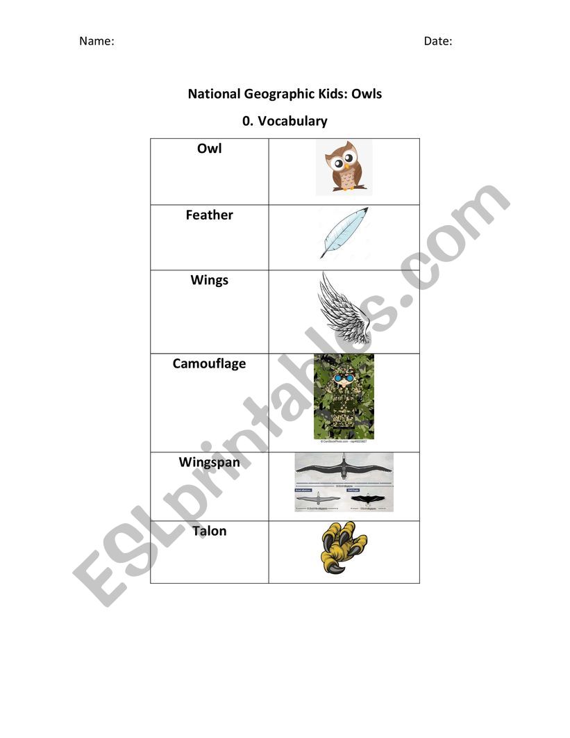 National geographic 1 owls - worksheet