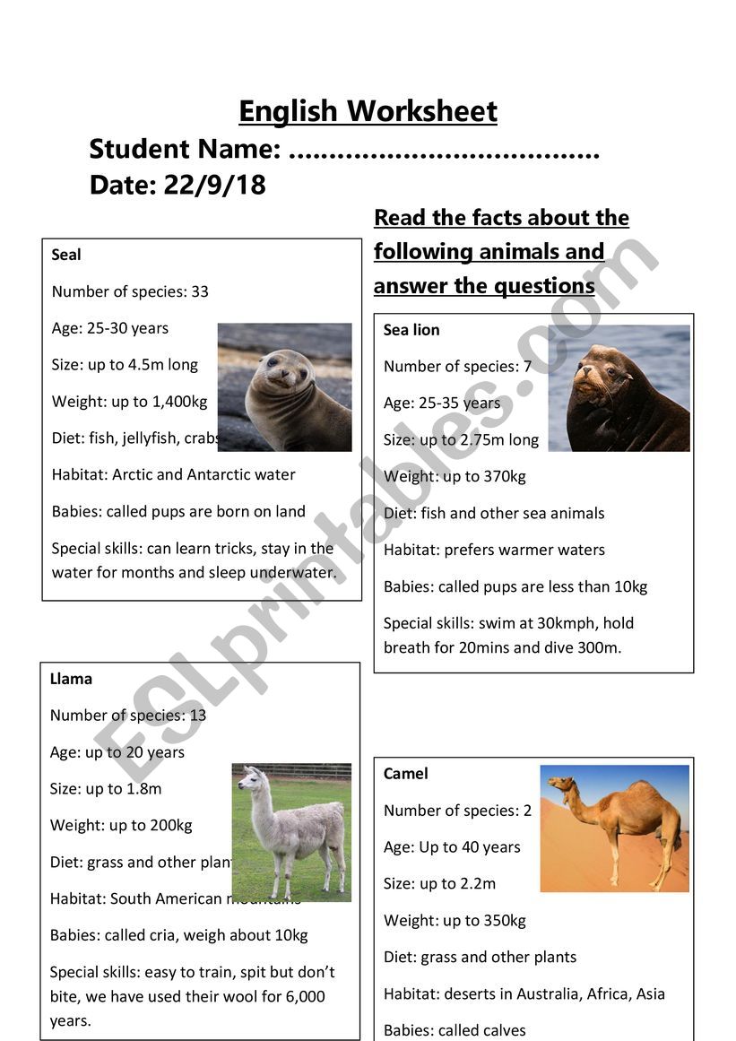 Animal Comparatives and Superlatives