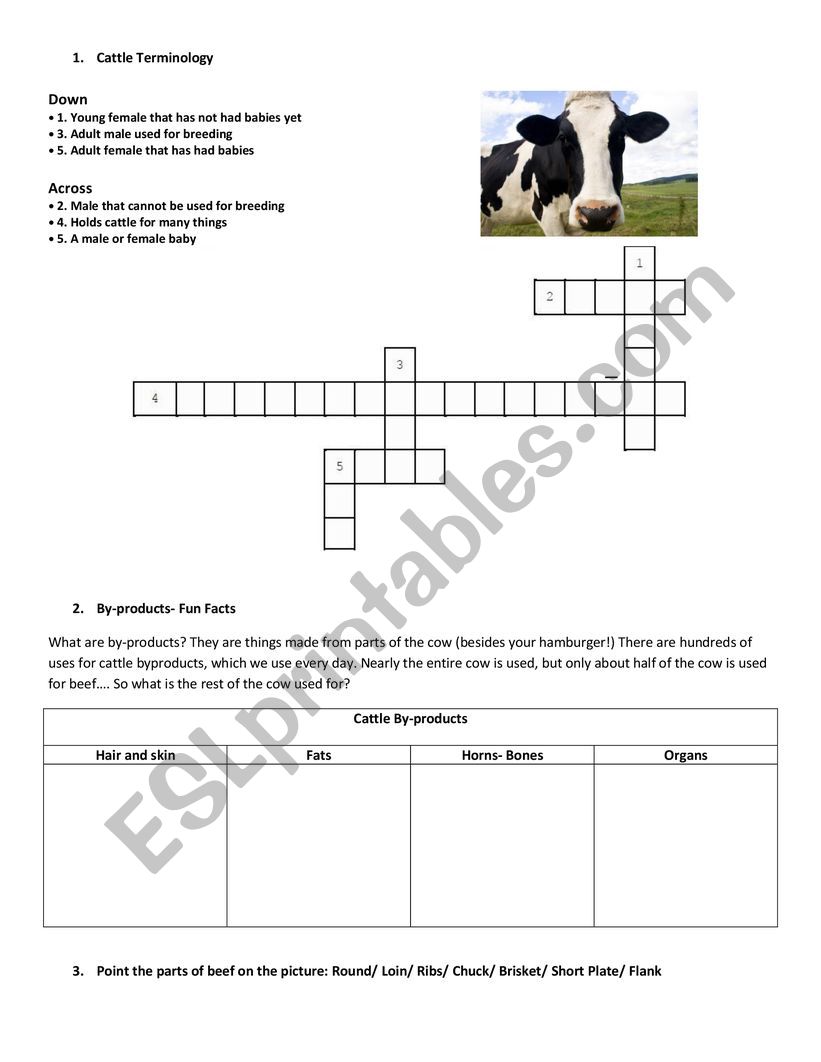 Cattle Rising worksheet