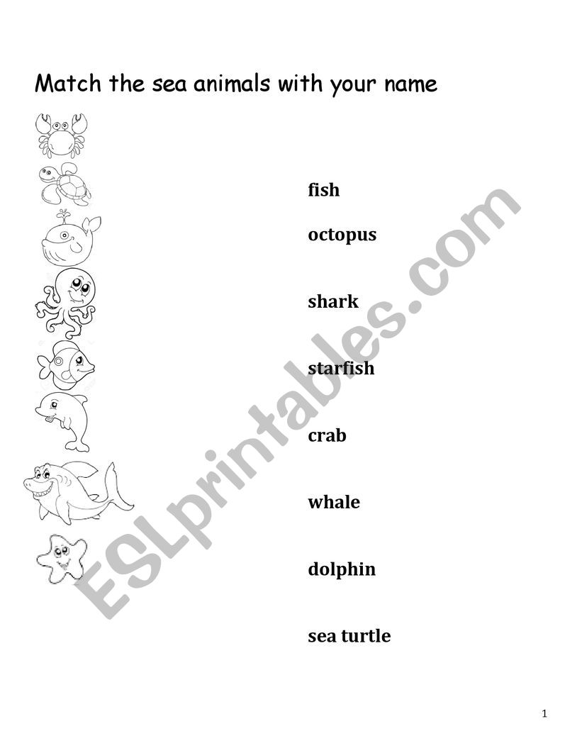 sea animals esl worksheet by lizzie162701