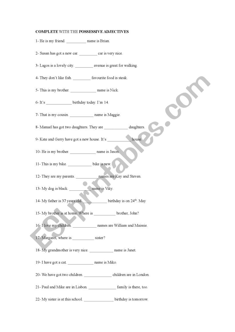  POSSESSIVE ADJECTIVE worksheet