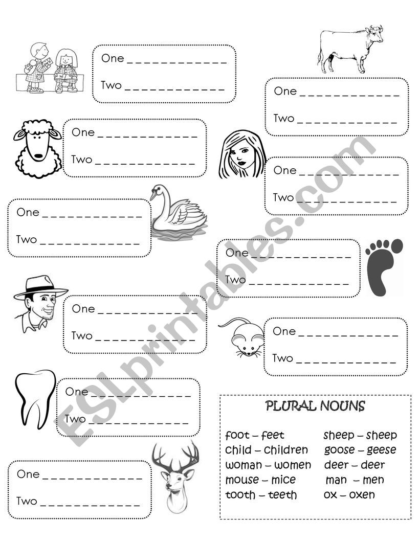 Irregular Plurals with Pictures Worksheet
