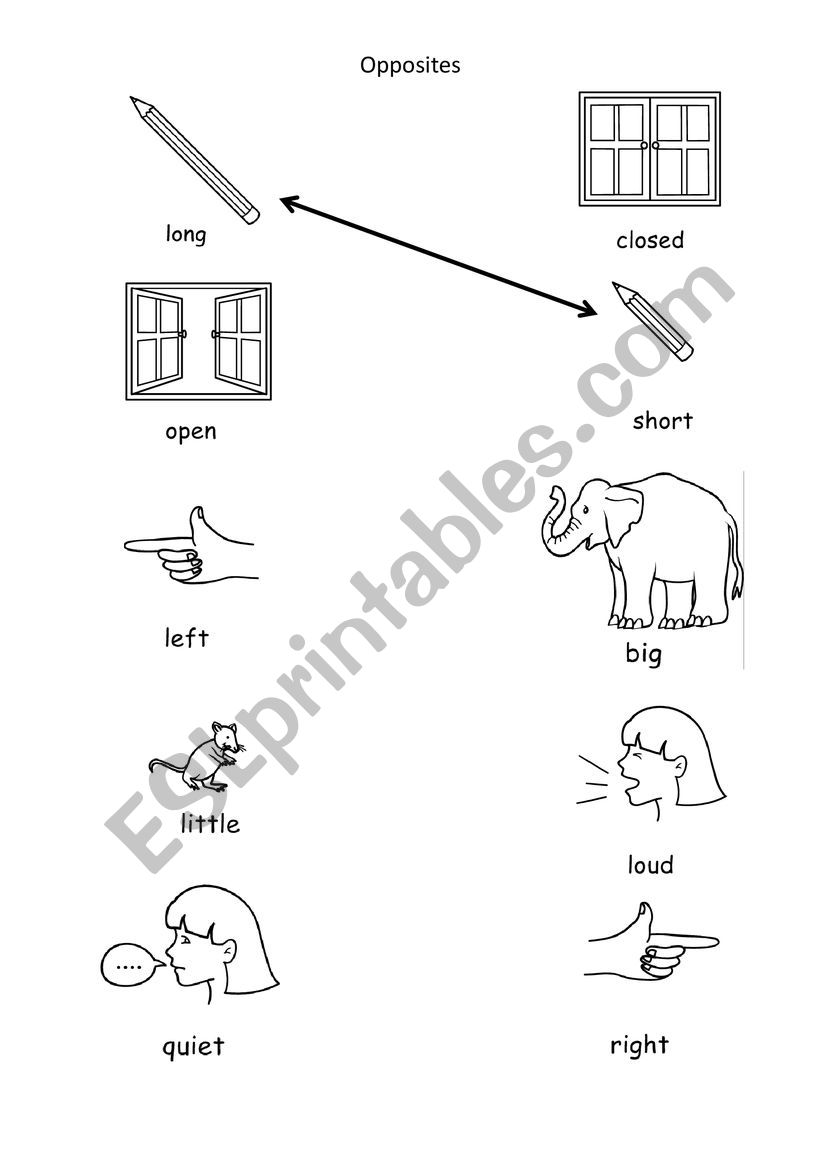 OPPOSITES worksheet