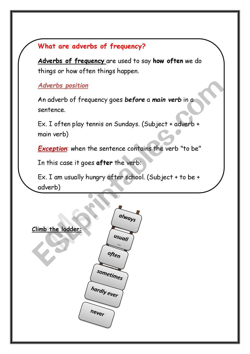 adverbs of freqquency worksheet