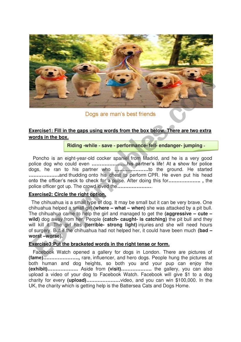 Dogs are man´s best friends - ESL worksheet by toumia