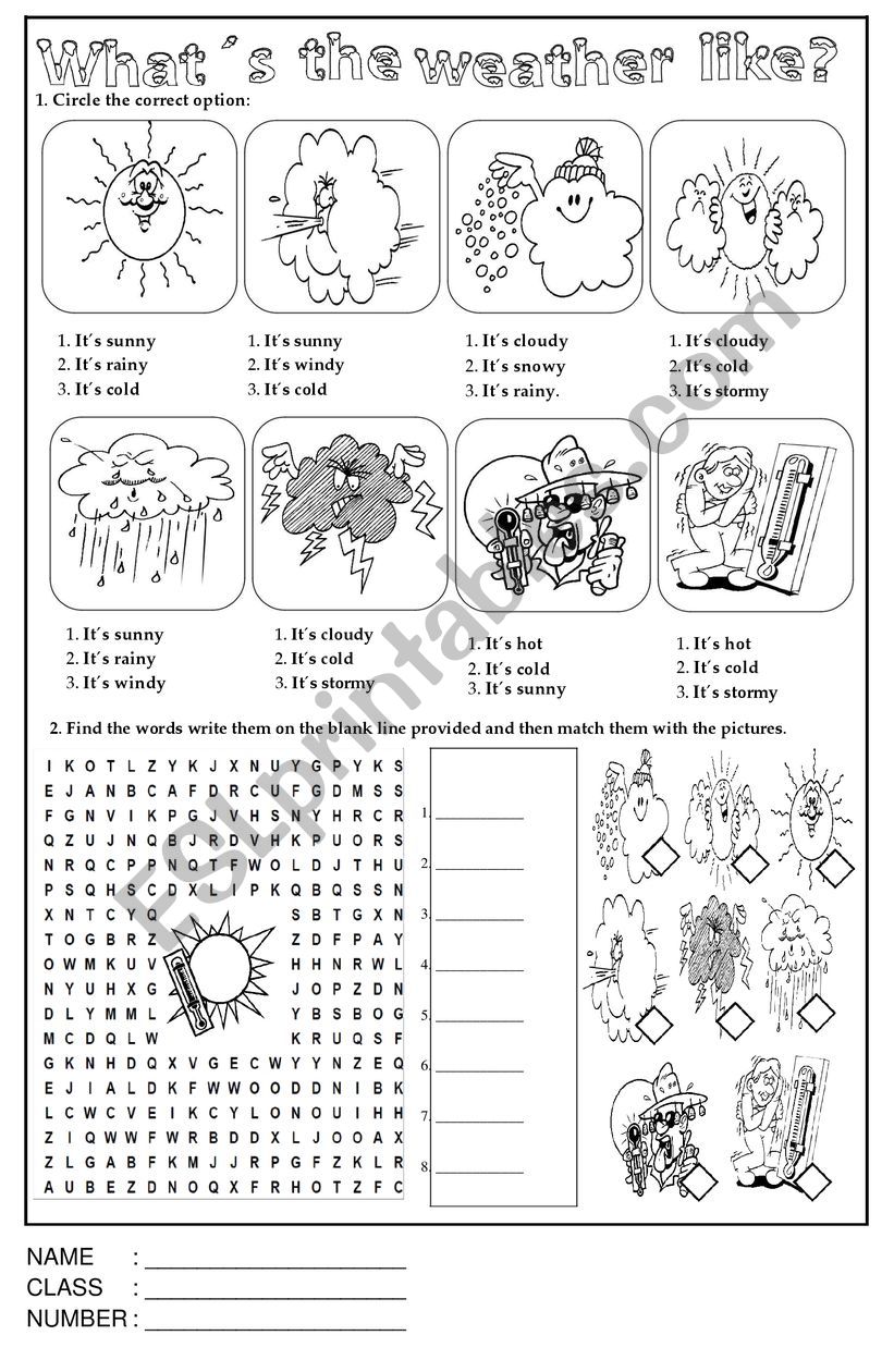 Weather worksheet