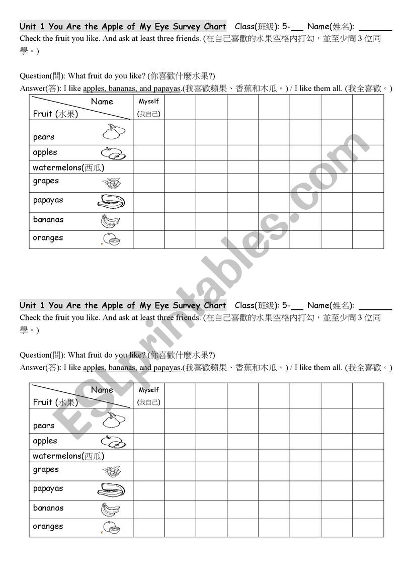 Fruit Survey worksheet