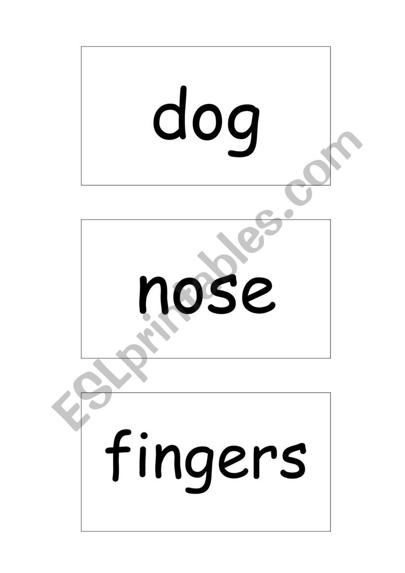 basic words flashcards worksheet