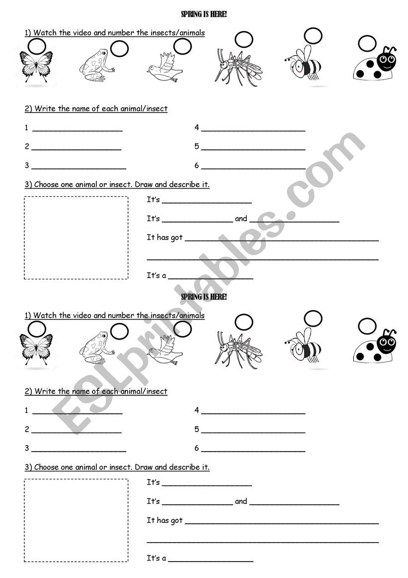 Welcome spring! worksheet