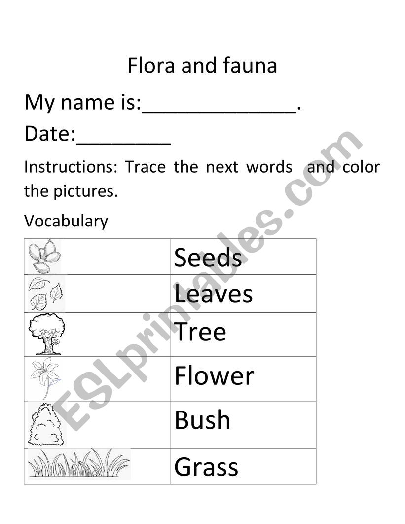 Flora and Fauna worksheet