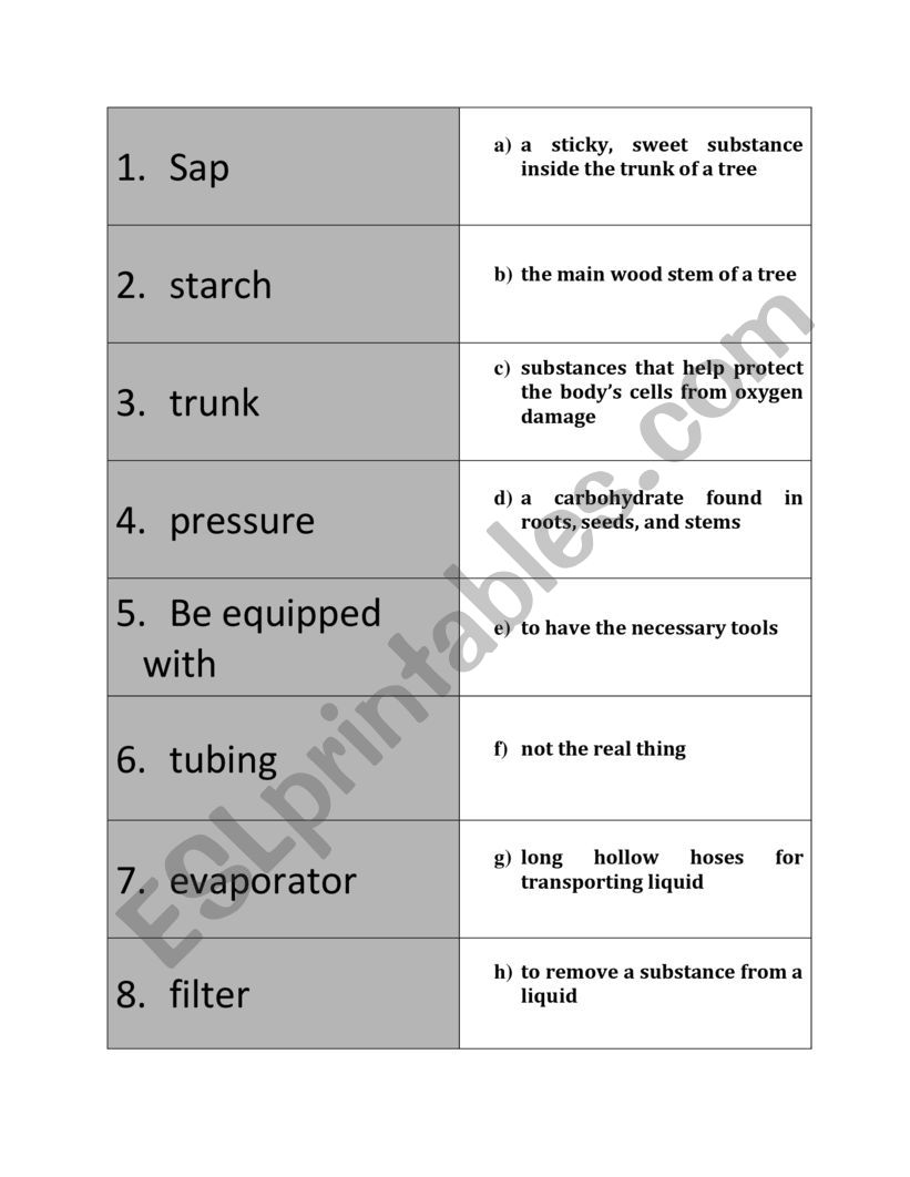 Maple syrup vocabulary  worksheet